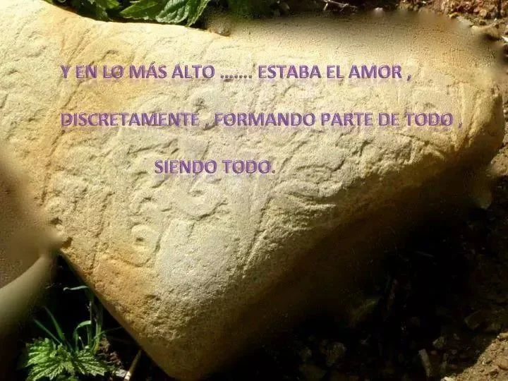 IMG-20140804-WA0001 (2)