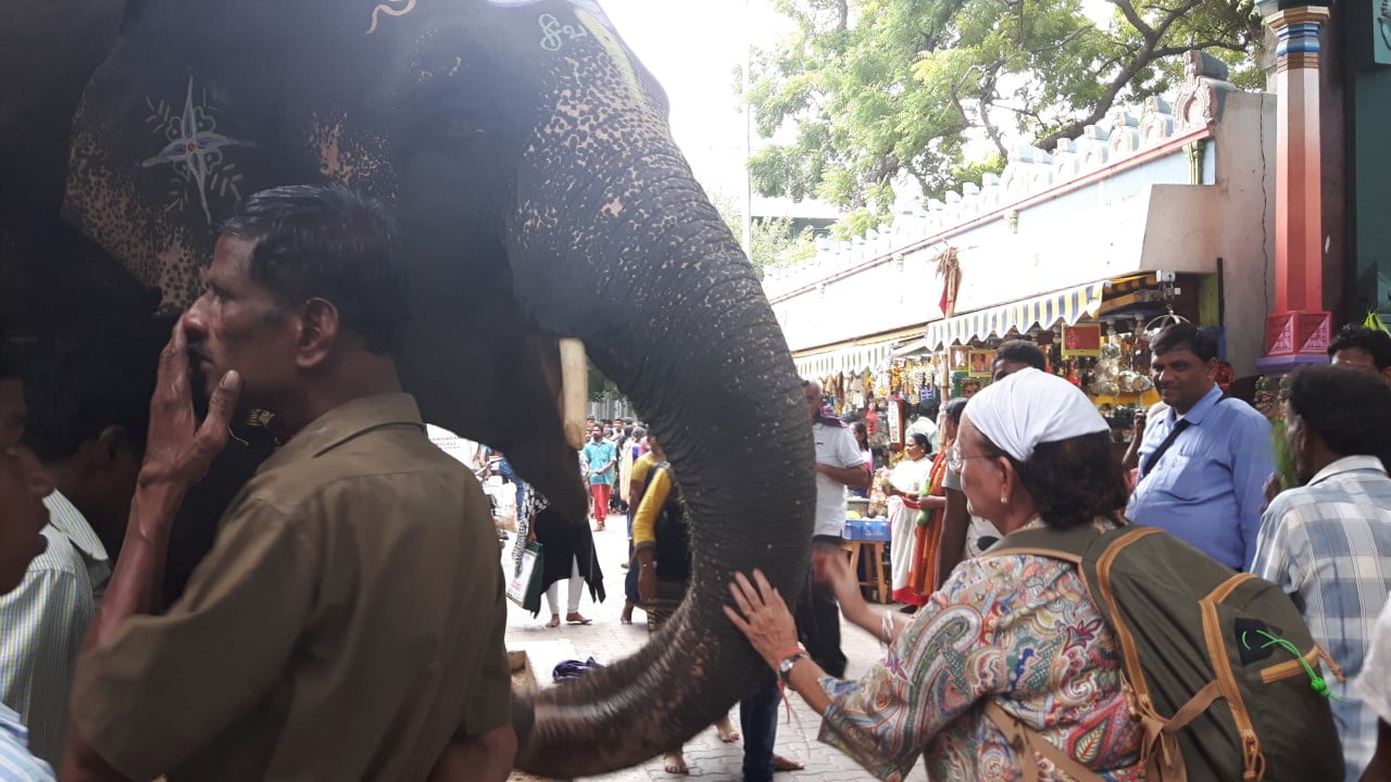el-elefante-de-ganesha