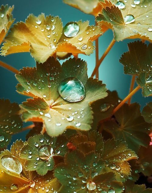 gota-de-agua-colores
